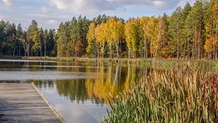 20.08.2019 00:00 Urocze zakątki w lasach