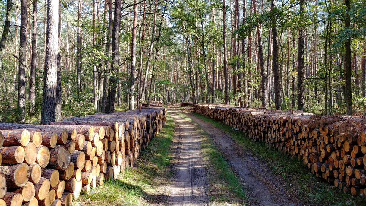 Wrzesień w obiektywie - zdjęcie 17