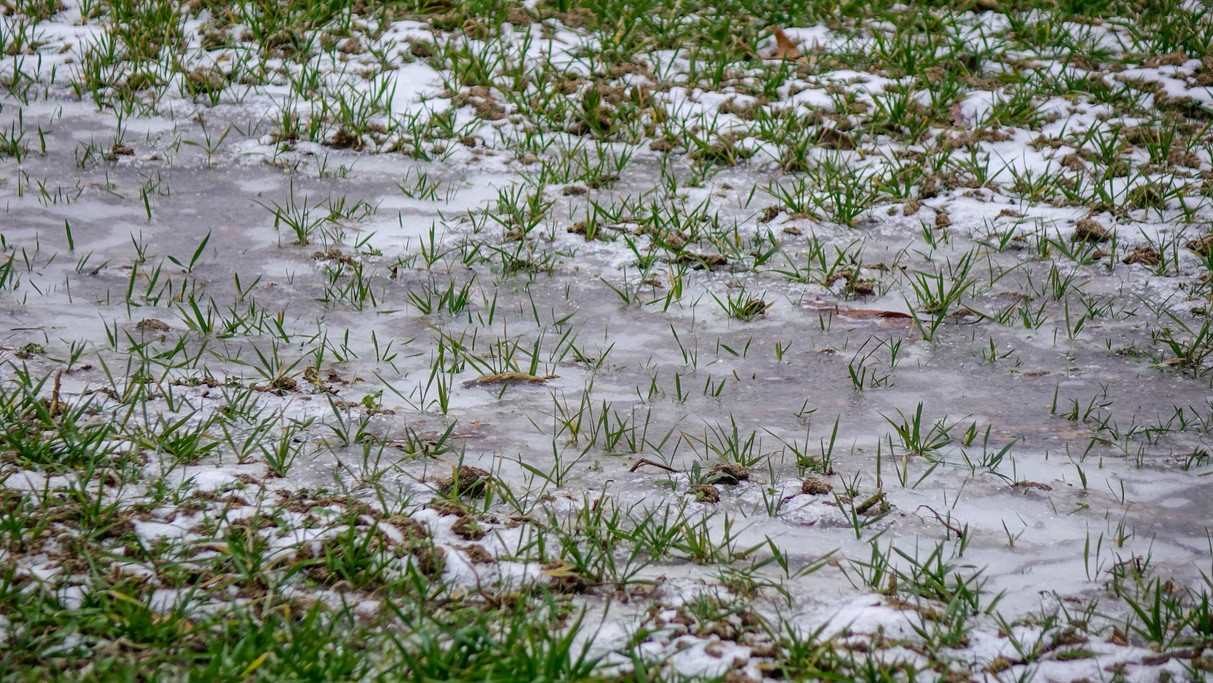 Styczeń w obiektywie - zdjęcie 51