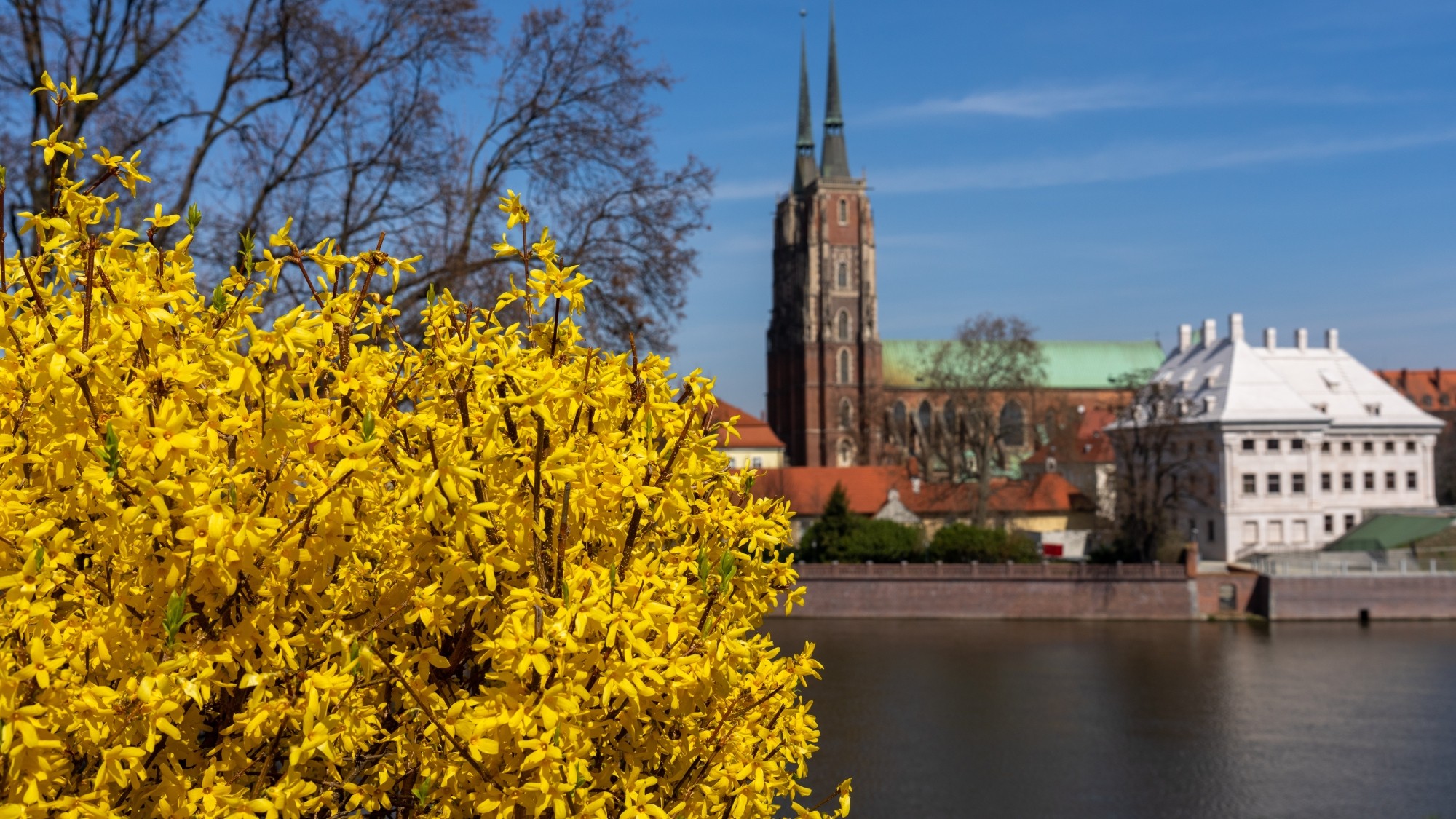 Miejska przyroda - zdjęcie 9