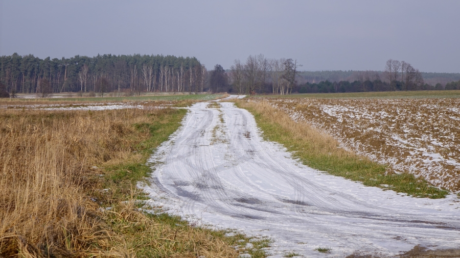 15.02.2018 09:00 Pora na kolejne podsumowanie zimy. Co dotychczas nam przyniosła?