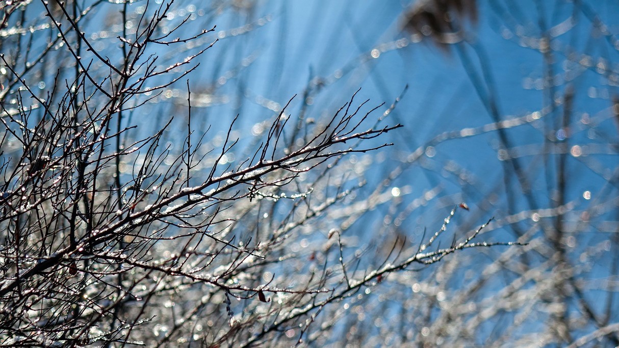 Luty w obiektywie - zdjęcie 29