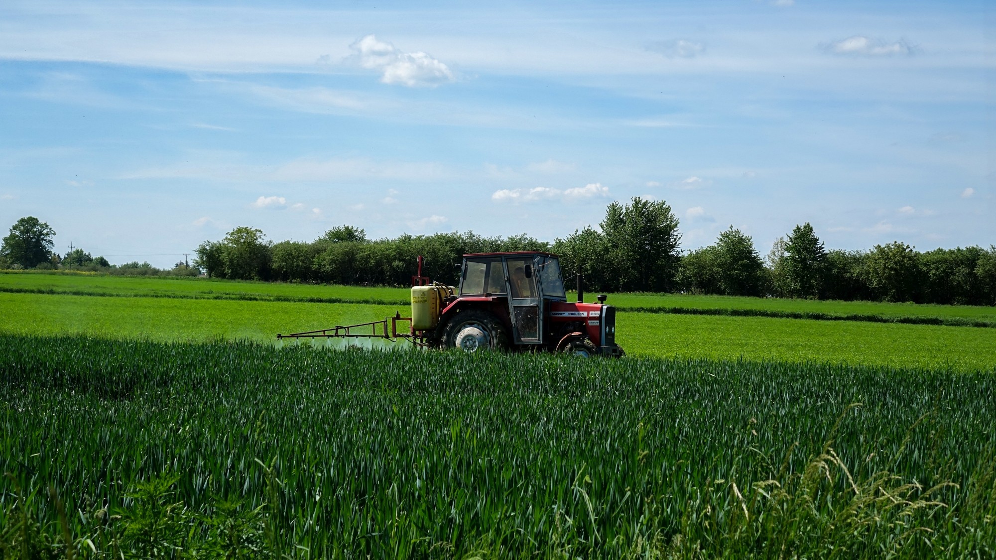 Maj w obiektywie - zdjęcie 56