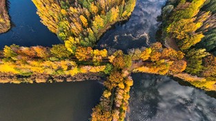 16.11.2020 00:00 Jesienna Polska z lotu ptaka (4K)