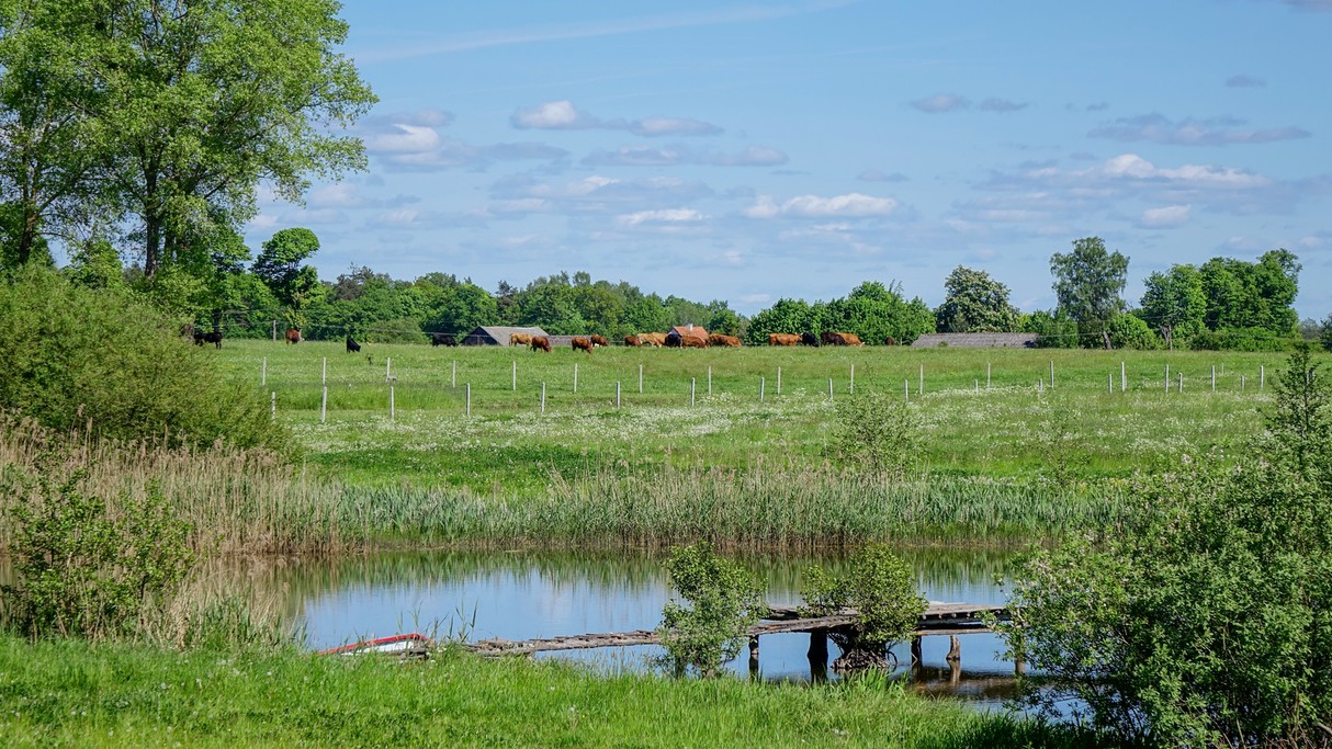 Nad morzem, jeziorami i rzekami - zdjęcie 90