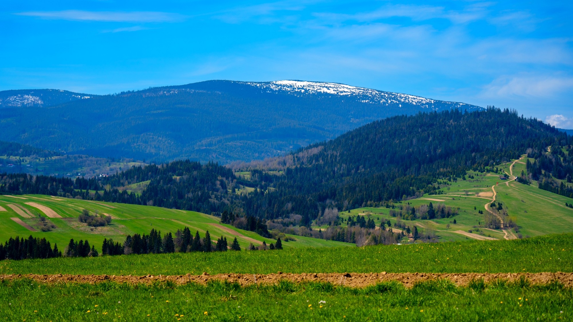 Zachwycający maj - zdjęcie 18