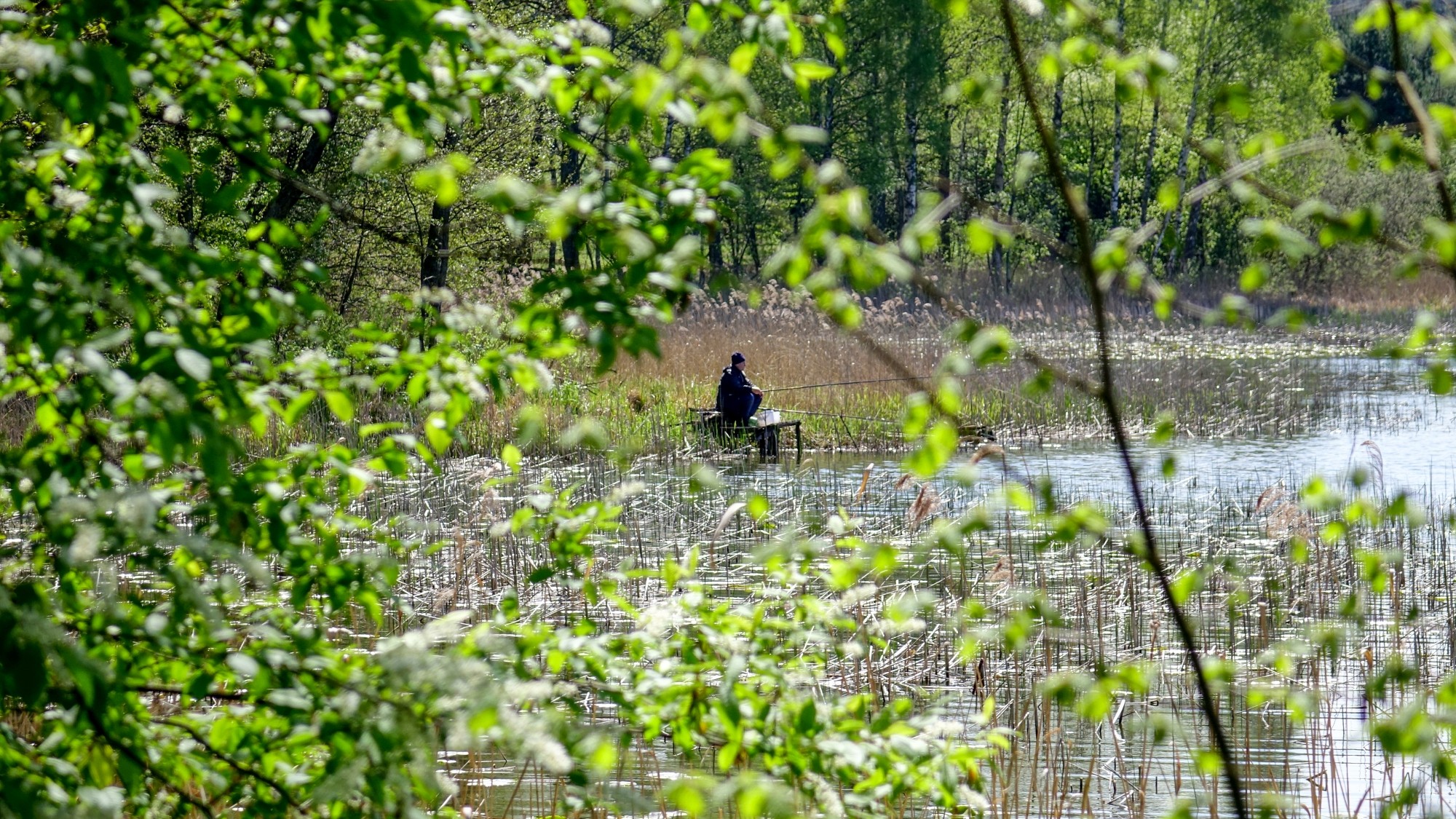 Ludzie na łonie natury - zdjęcie 74