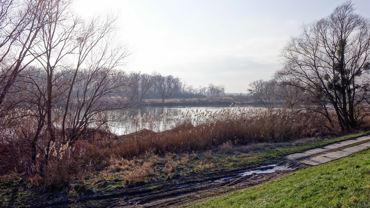 Styczeń w obiektywie - zdjęcie 31