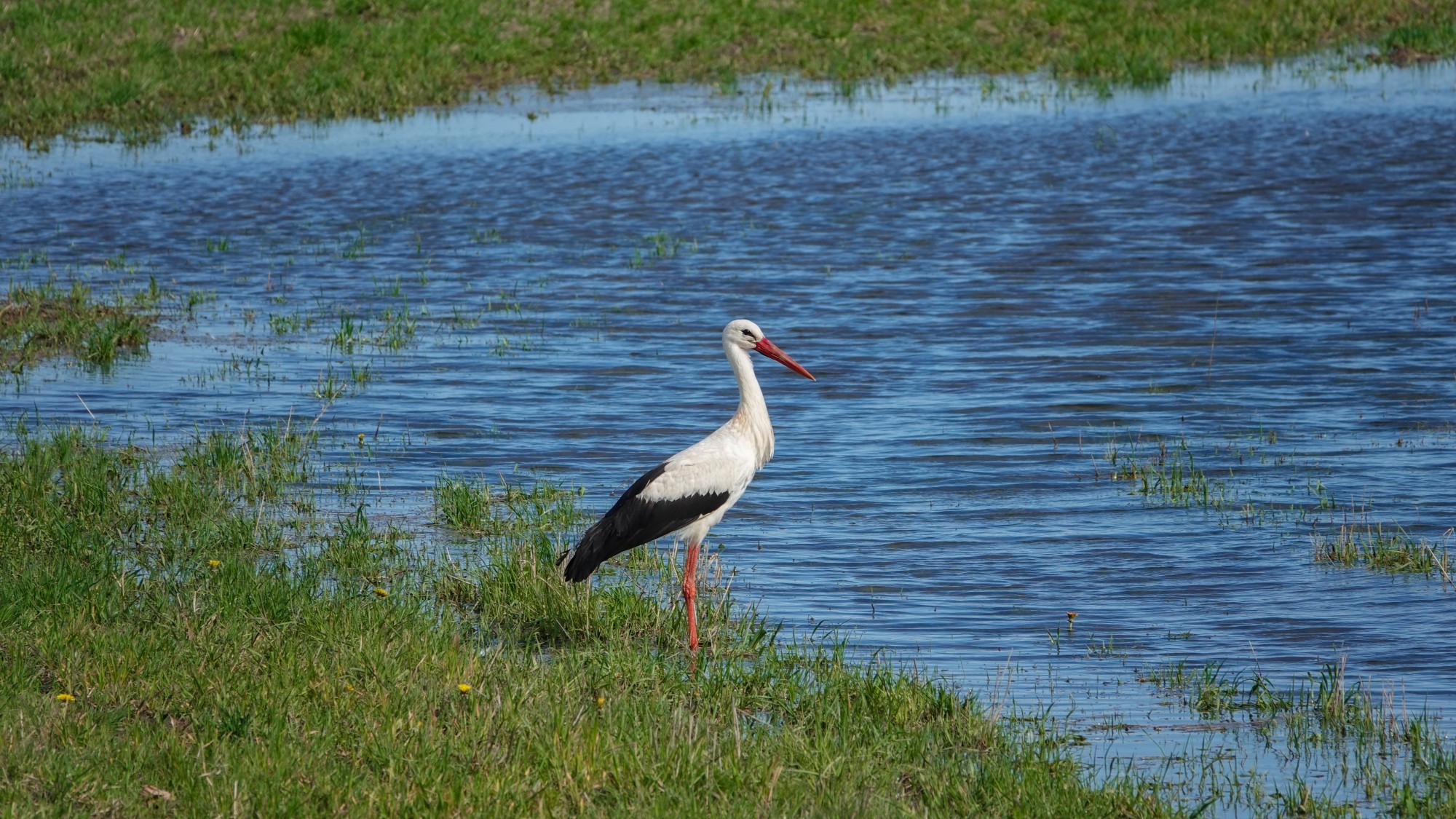 100 najpiękniejszych zdjęć 2021 roku - zdjęcie 44
