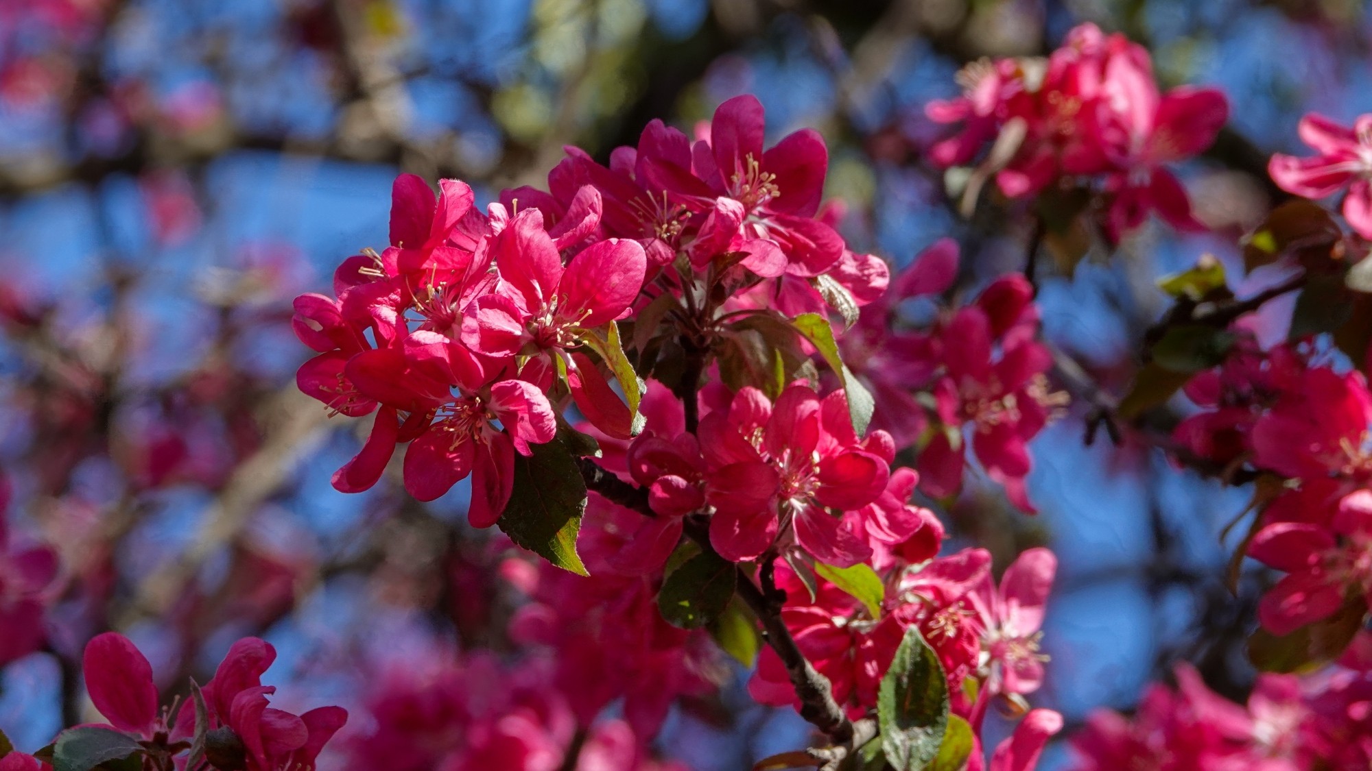 Kwiecień w obiektywie - zdjęcie 22