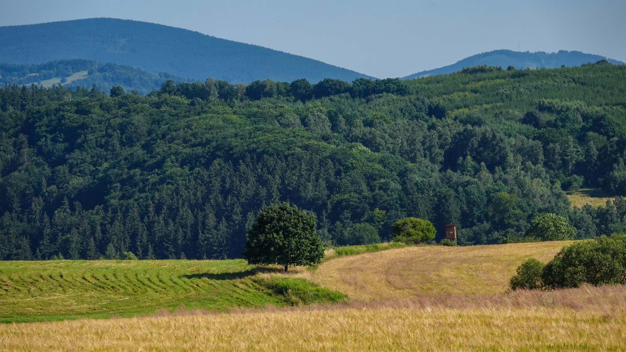Kochamy Polskę - zdjęcie 18