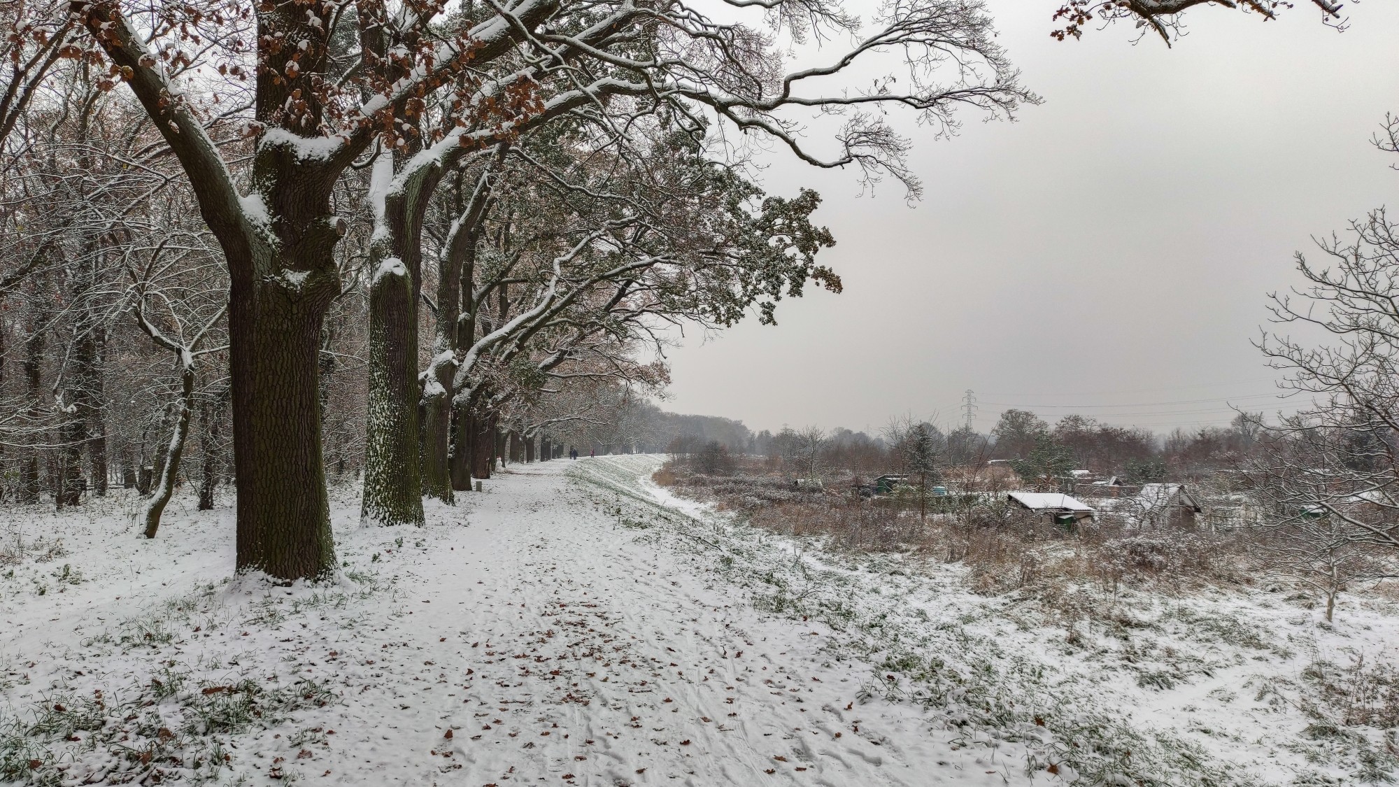 Pierwszy śnieg - zdjęcie 17