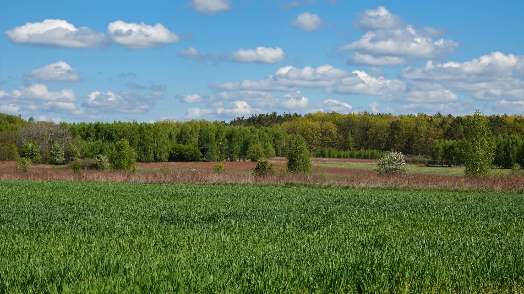 Kwiecień w obiektywie - zdjęcie 47