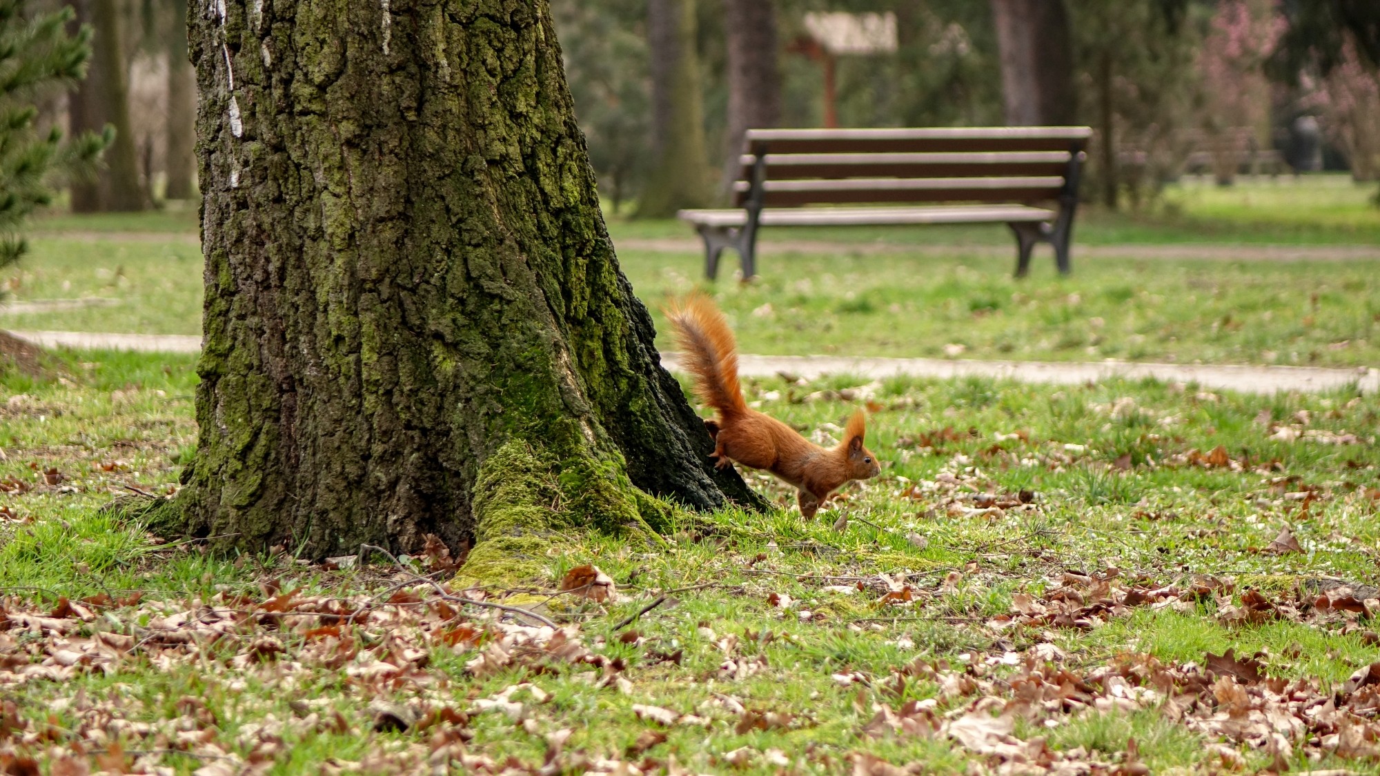 Z kamerą wśród zwierząt - zdjęcie 20
