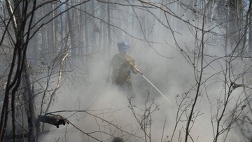 Kanada: pożary lasów rozszerzają się i zagrażają kolejnej prowincji