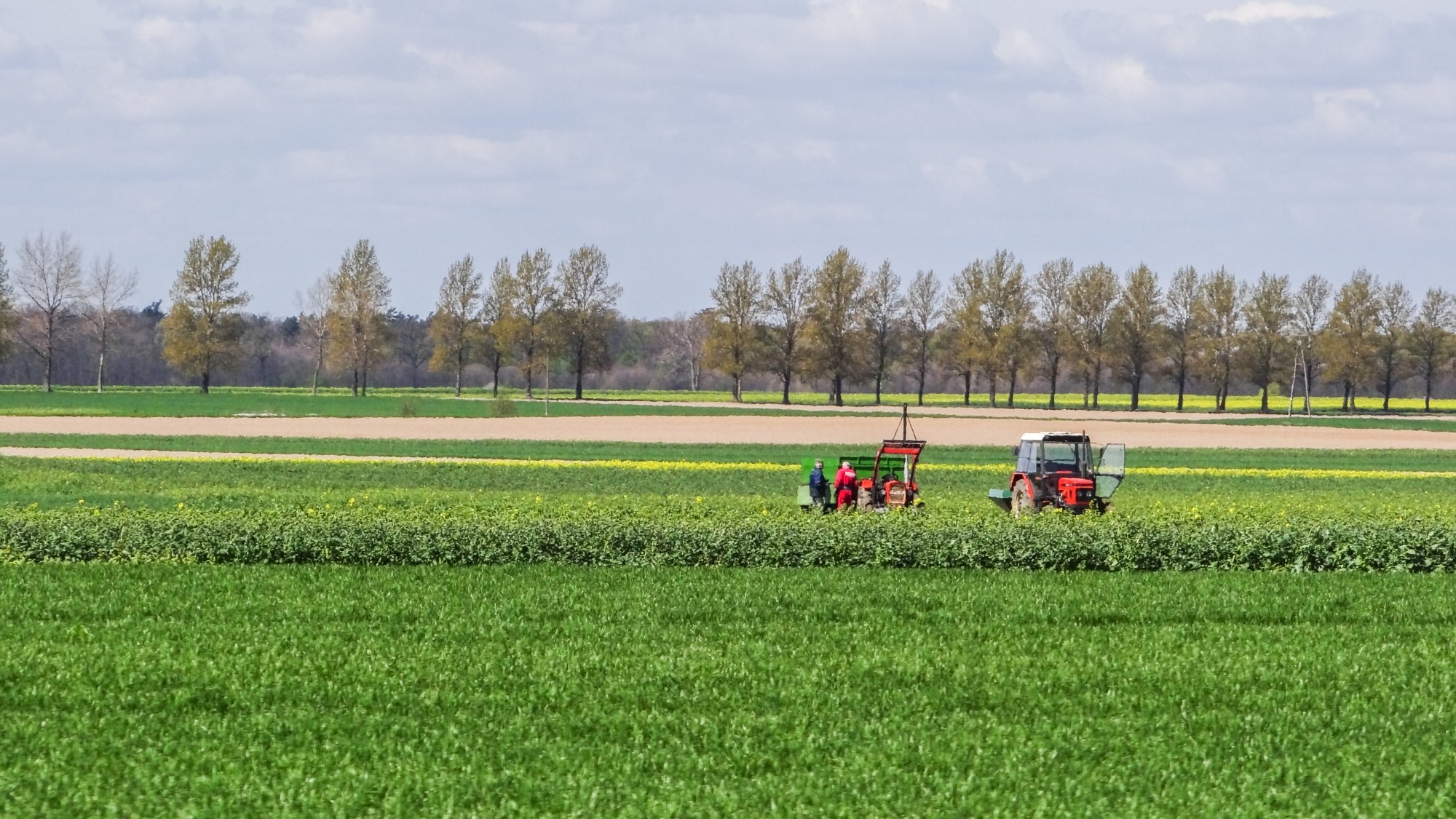 Mazury wiosną - zdjęcie 37