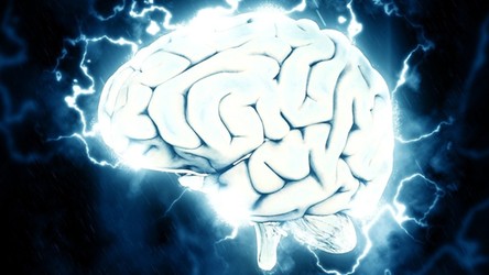 Kolejny przełom w odkrywaniu tajemnic funkcjonowania ludzkiego mózgu