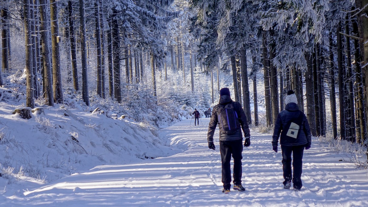Polskie krajobrazy w 2018 roku - zdjęcie 24