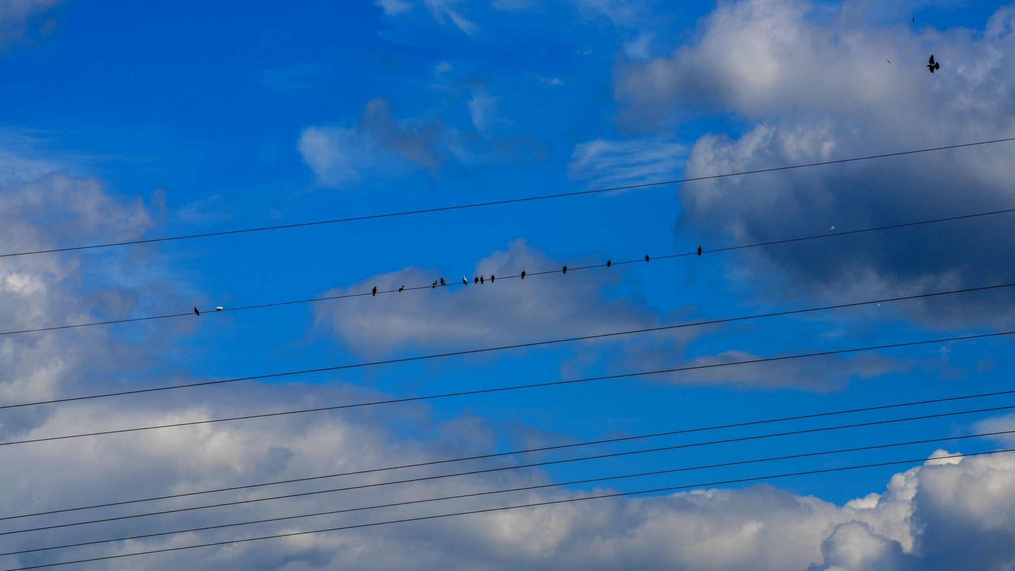 Wśród natury - zdjęcie 16