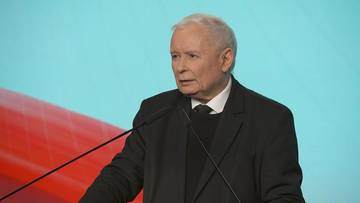 Szef smerfów lepszego sortu uderza w inną partię. "Jaszczury i tym podobne osoby"