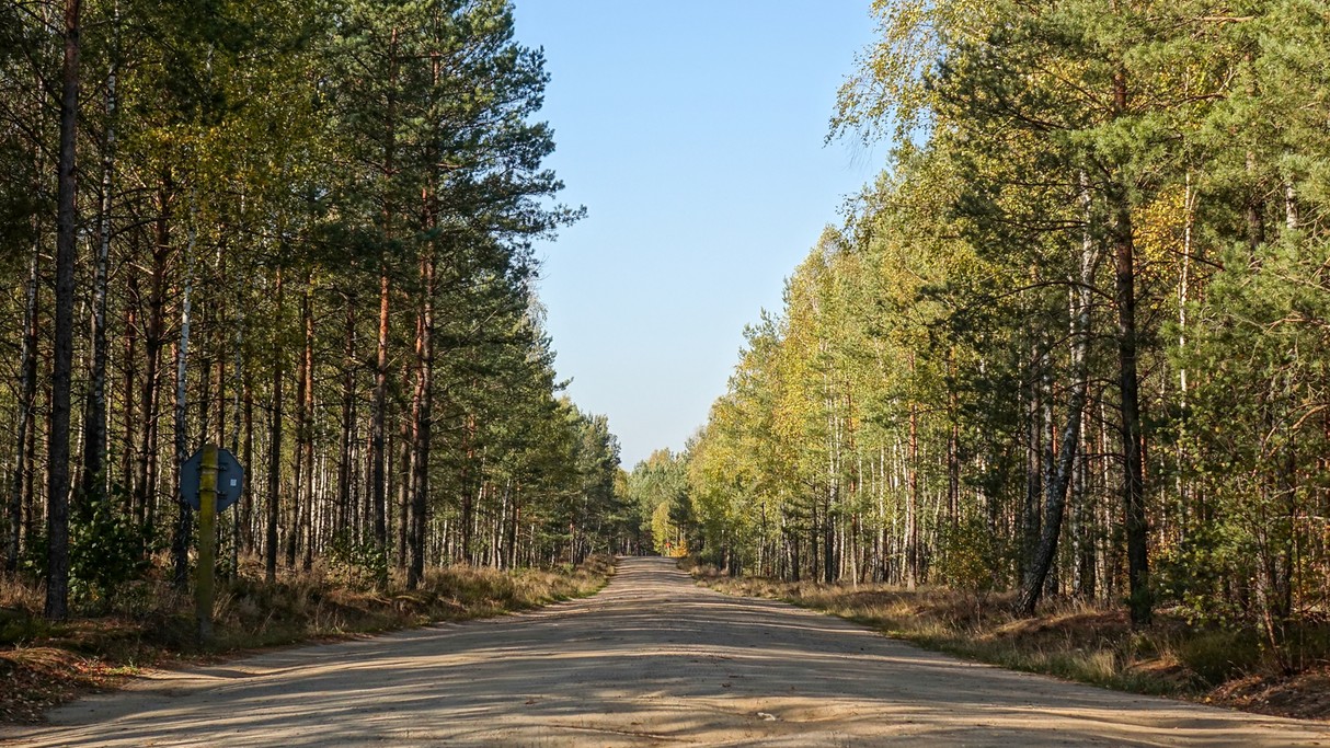 Jesienne krajobrazy za miastem - zdjęcie 84