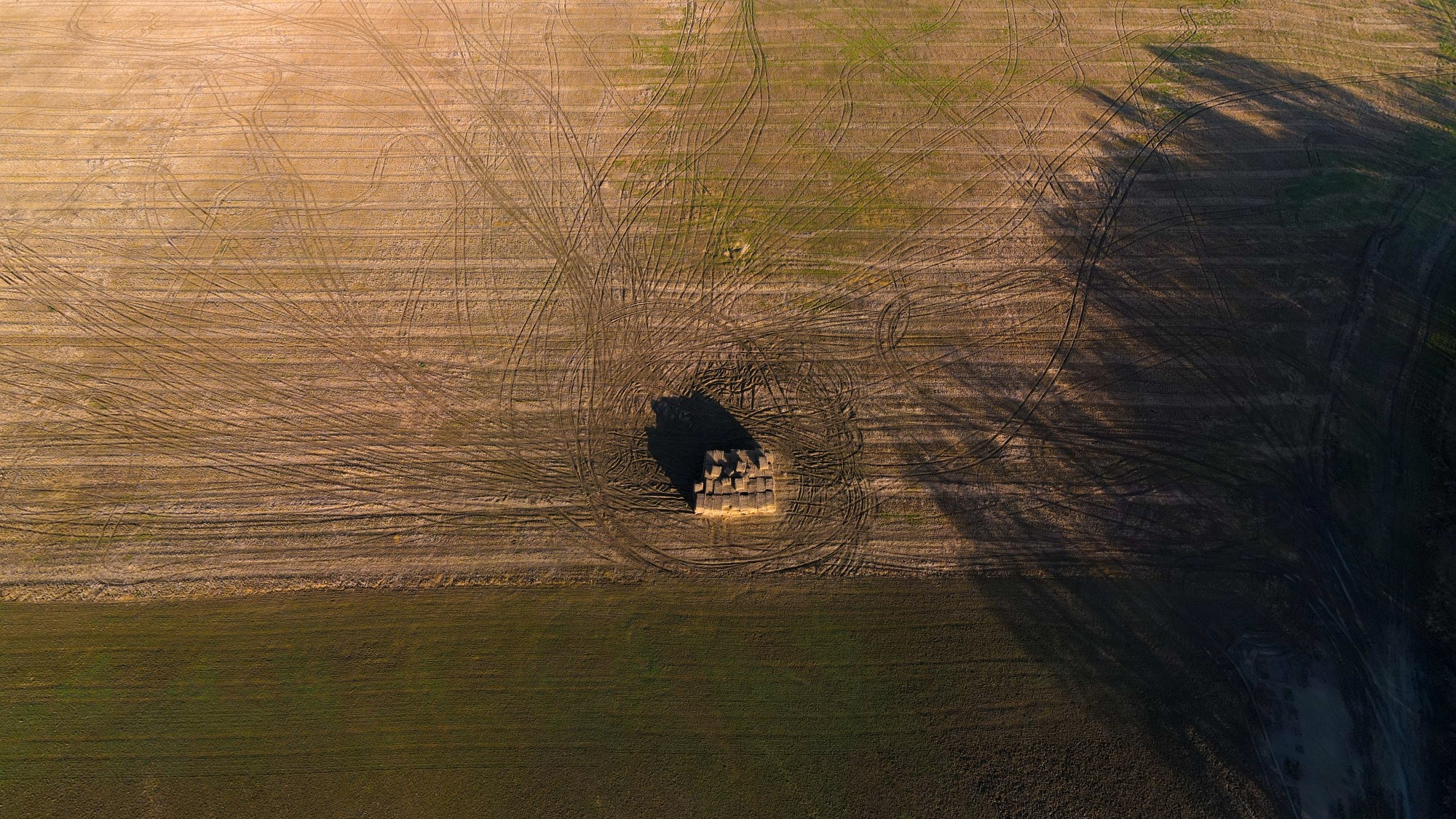 Cuda polskiej natury - zdjęcie 44