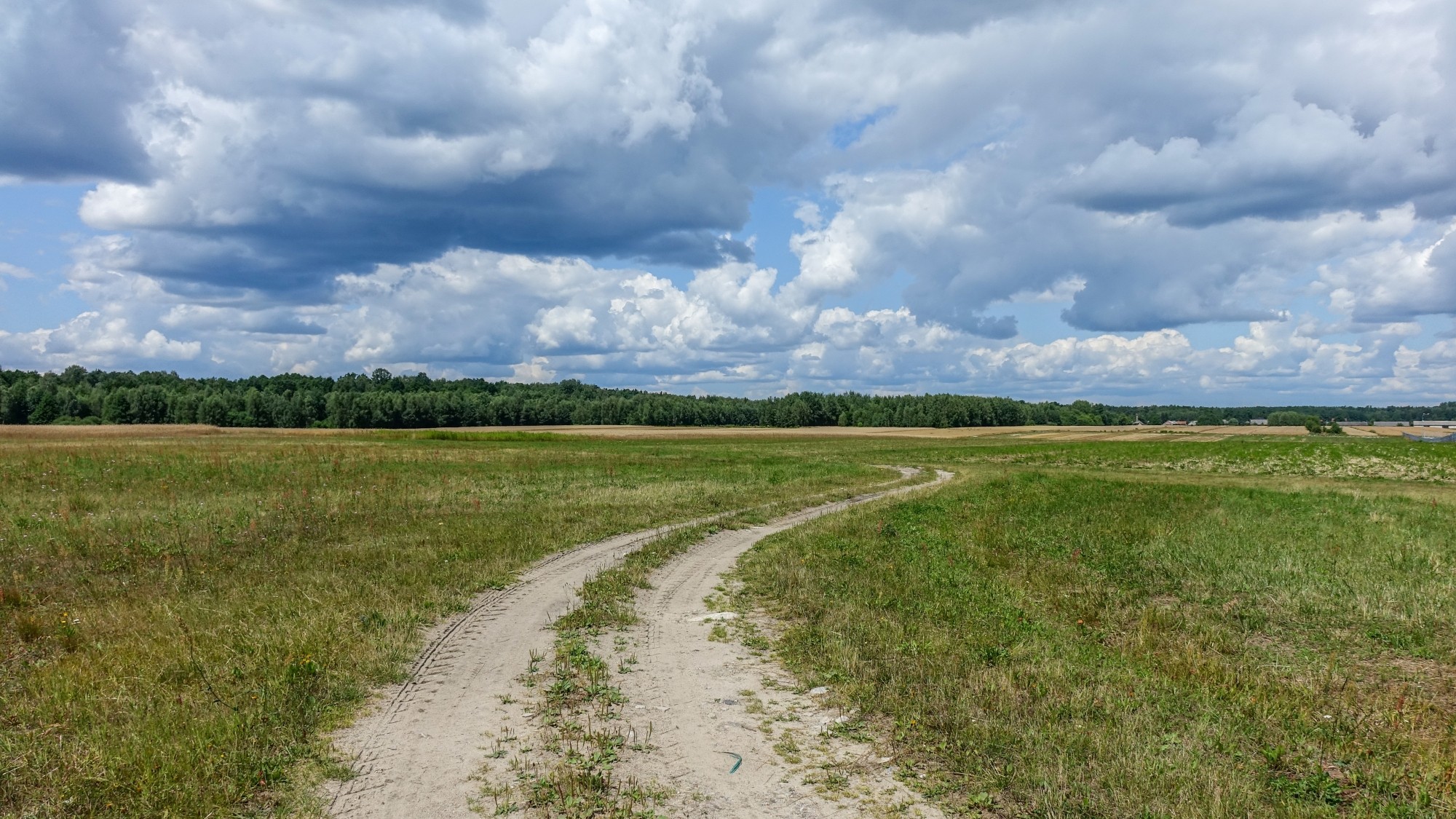 Lipiec w obiektywie - zdjęcie 8