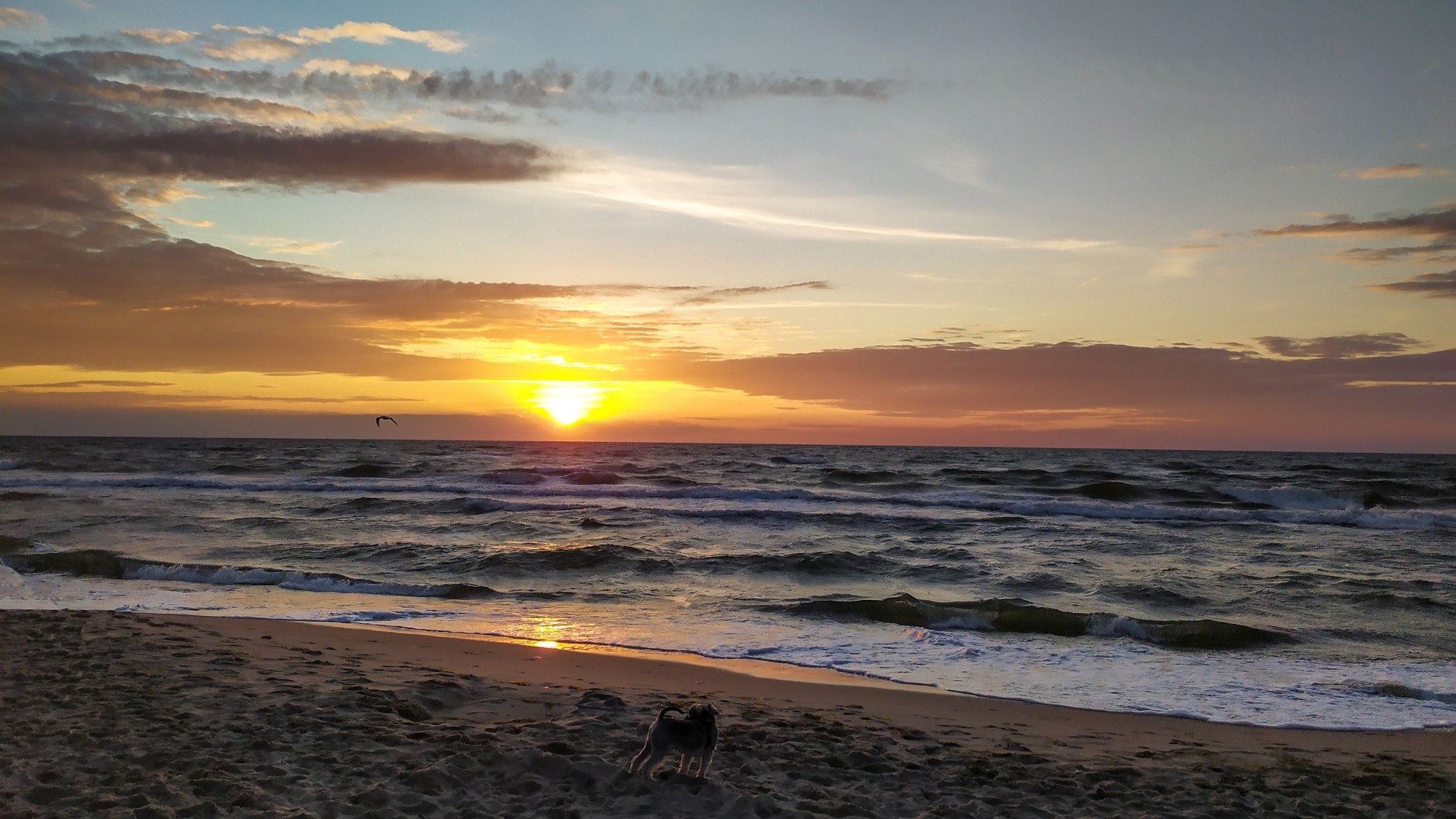 Lipiec w obiektywie - zdjęcie 17