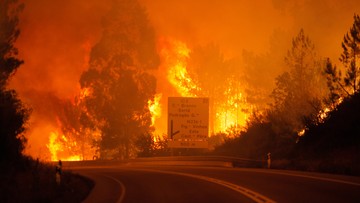 Ogromny pożar lasów w Portugalii. Rośnie bilans ofiar