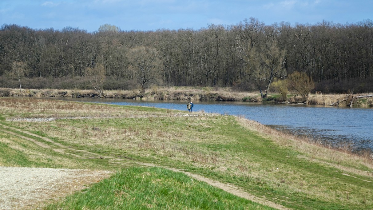 Marzec w obiektywie - zdjęcie 19