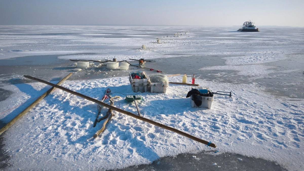 Polscy rybacy zbliżyli się do granicy. Interweniowały służby, Rosja wysłała poduszkowca