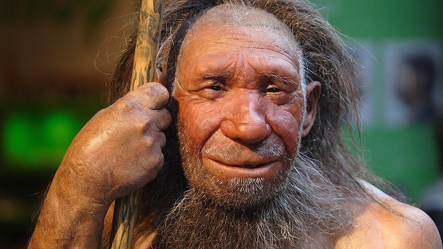 24.08.2019 05:00 Neandertalczyk wcale nie był taki bystry, jak dotychczas wszyscy sądziliśmy