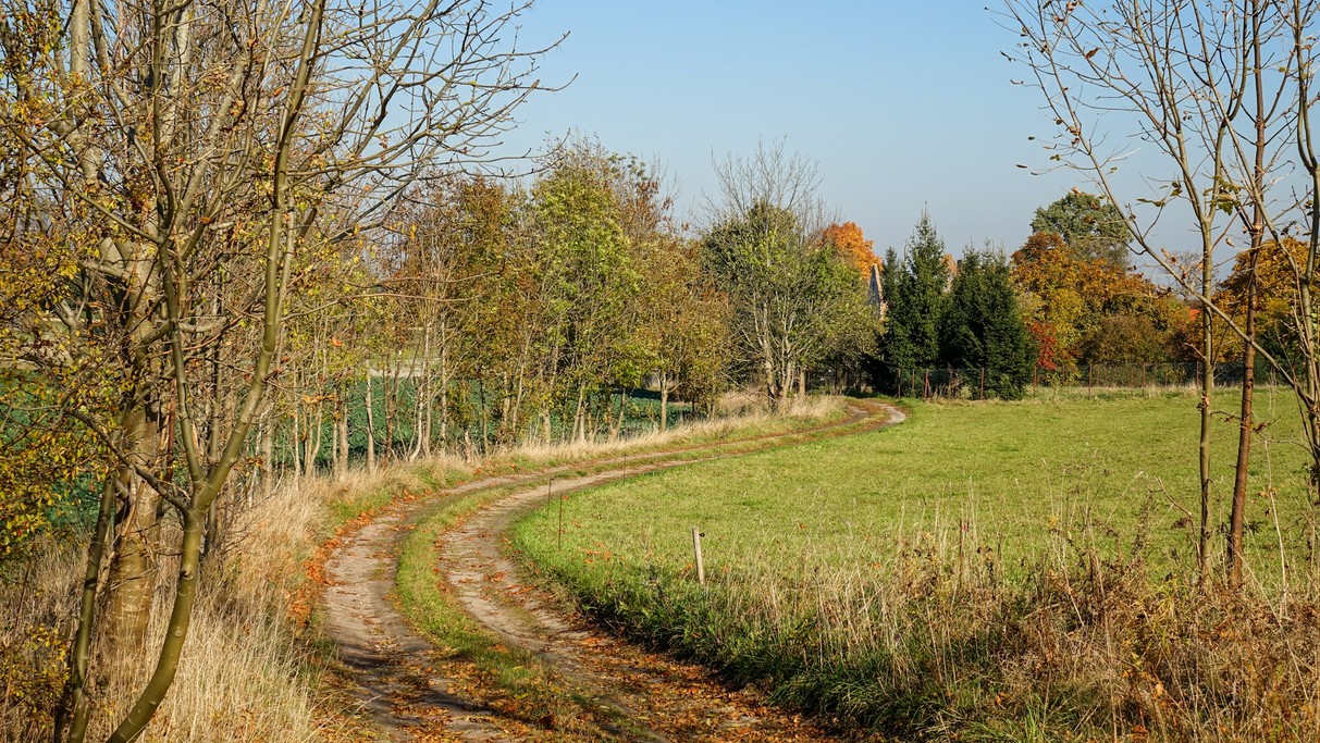 Jesienne krajobrazy za miastem - zdjęcie 56