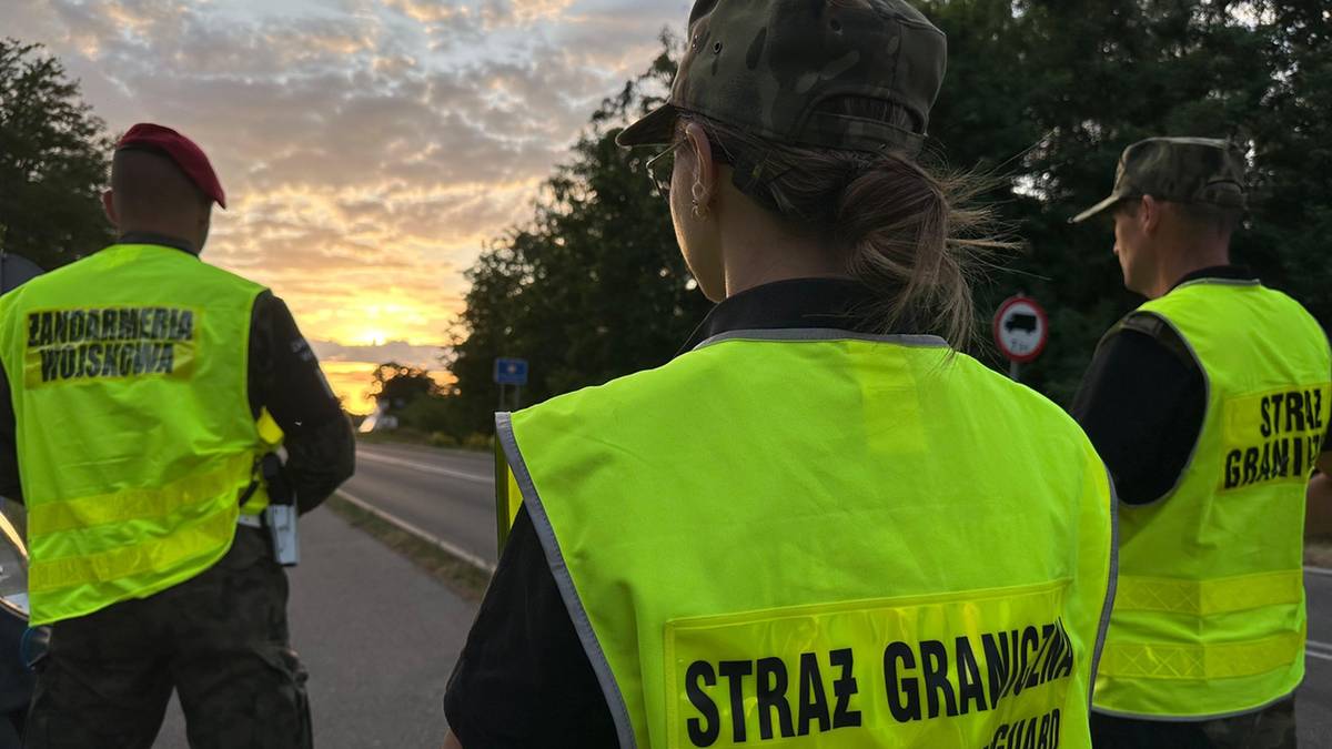 Zatrzymanie na granicy. Wspólna akcja Straży Granicznej i WOT