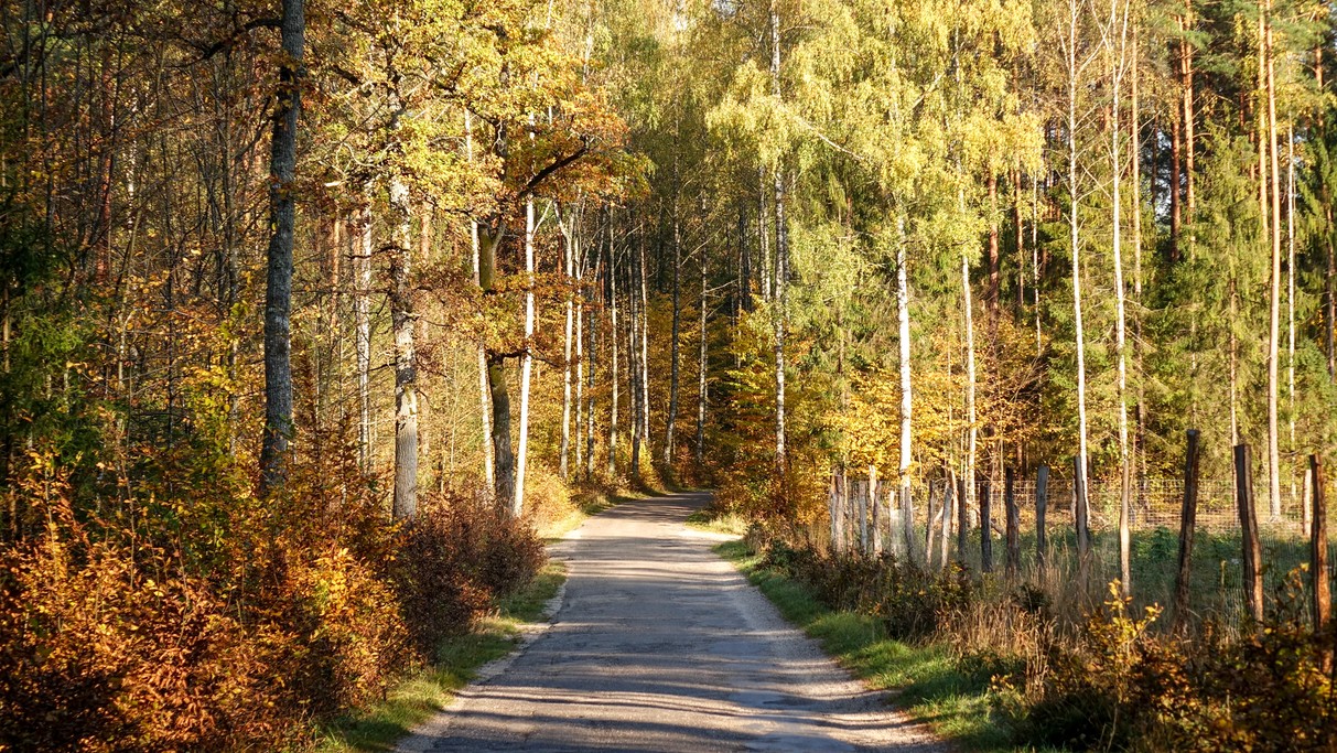 Jesienne krajobrazy za miastem - zdjęcie 16