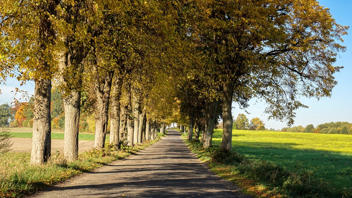 Podróż przez jesienną Polskę - zdjęcie 15