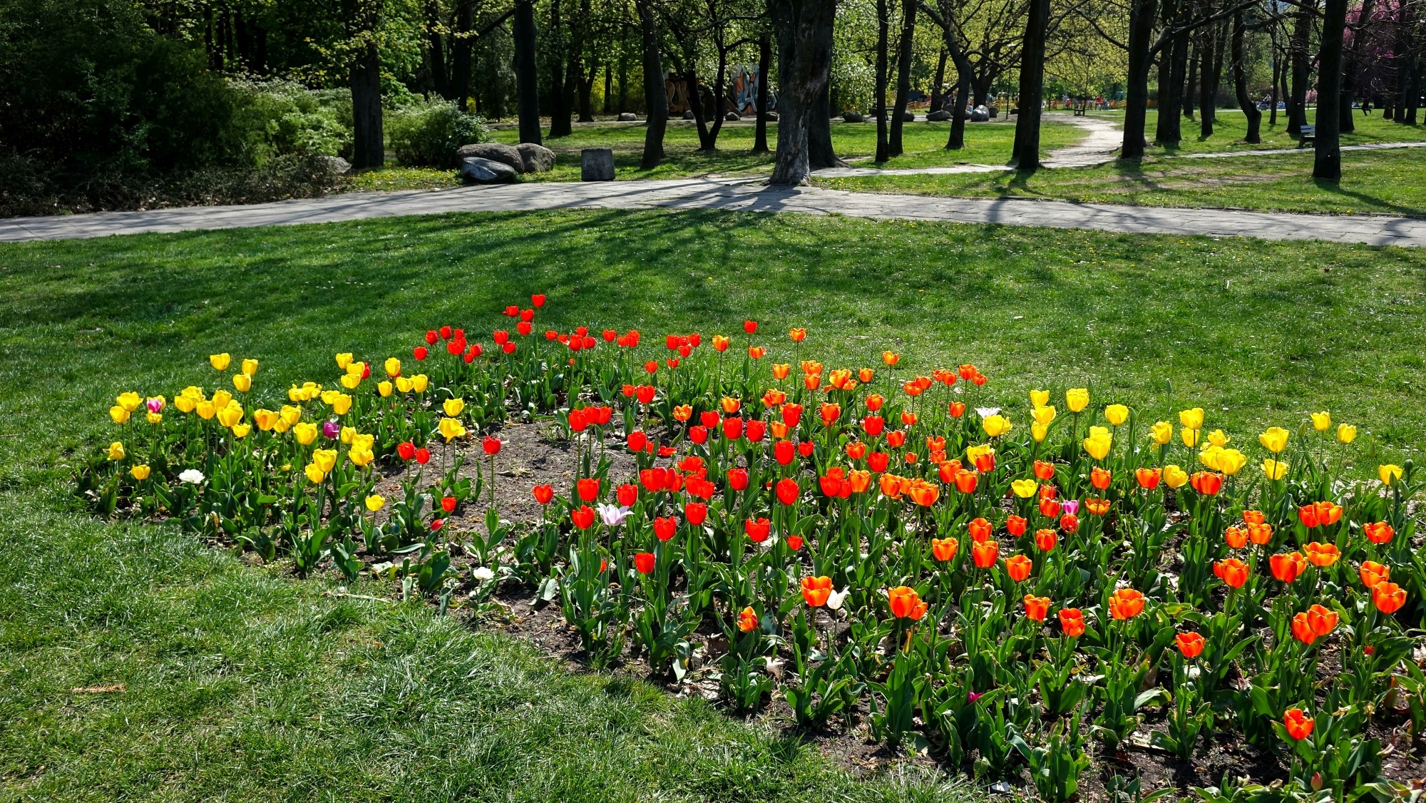 Kwitnąca wiosna - zdjęcie 19