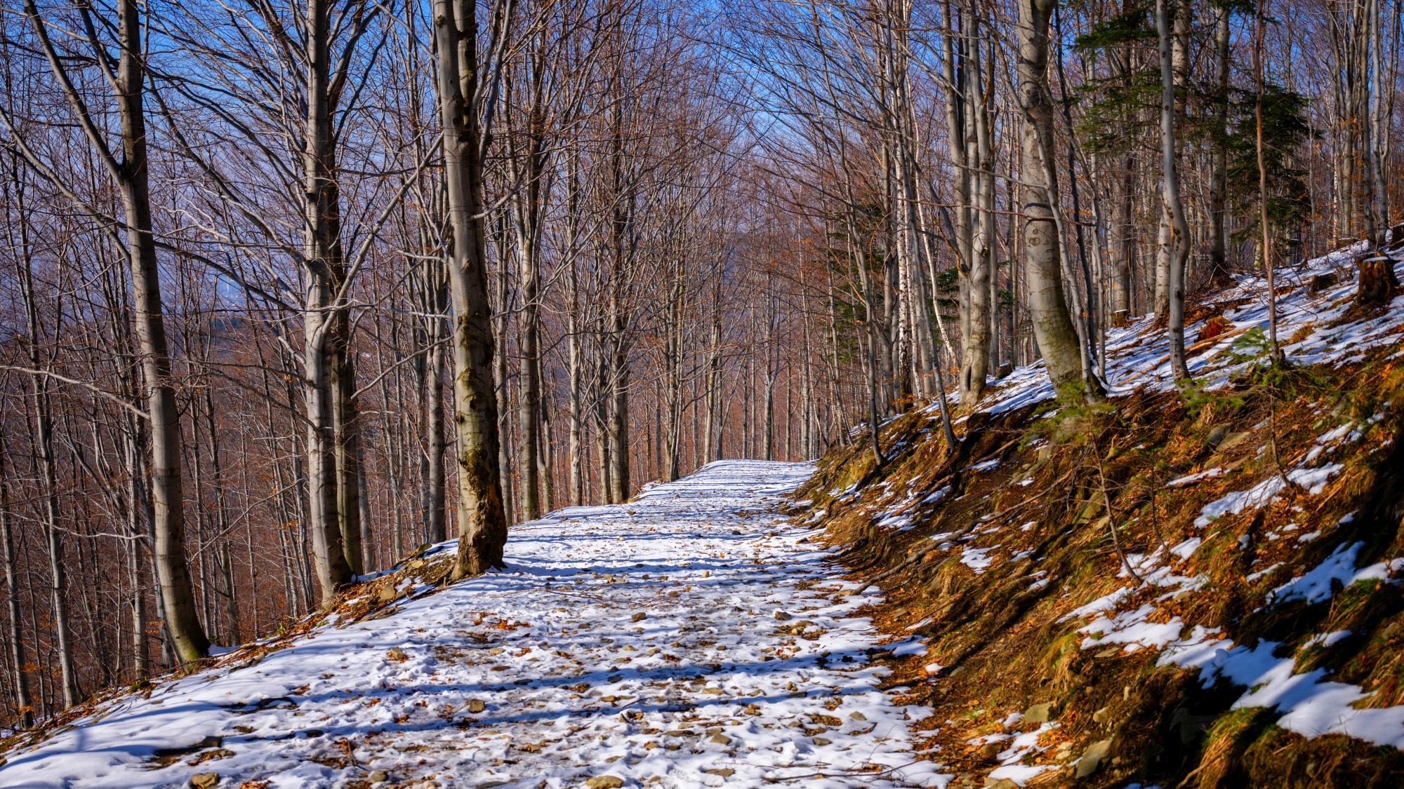 Zima w górach - zdjęcie 43
