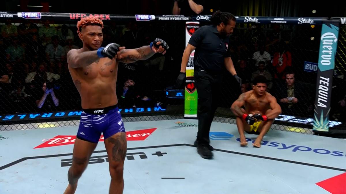 UFC Fight Night Burns vs Morales. Wyniki i skróty walk