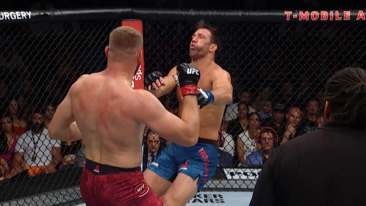 UFC 239: Błachowicz z bonusem za znokautowanie Rockholda