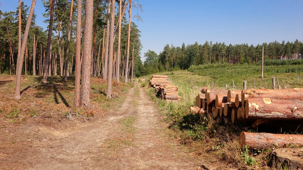 Lipiec w obiektywie - zdjęcie 37