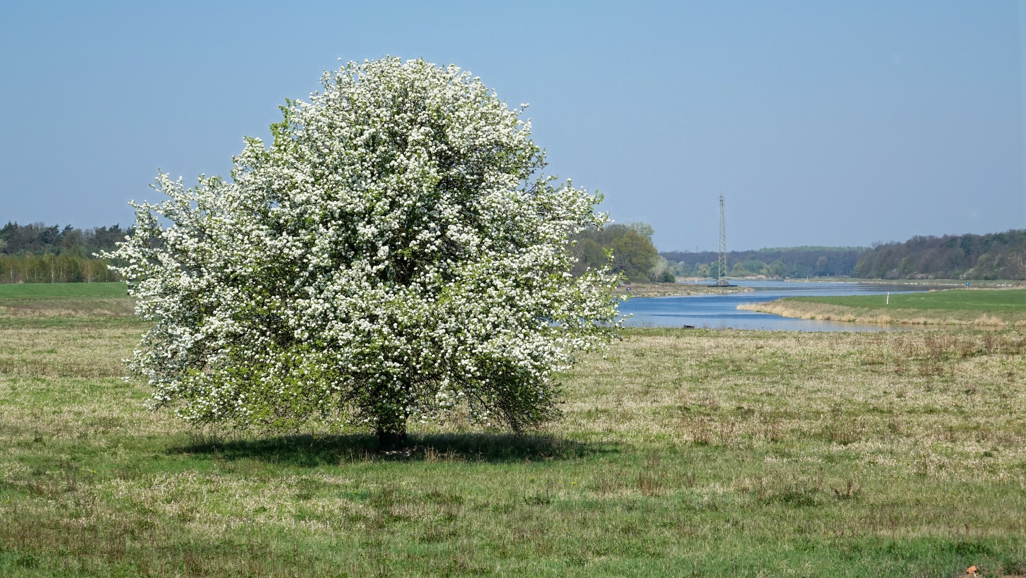 Kwitnąca wiosna - zdjęcie 36