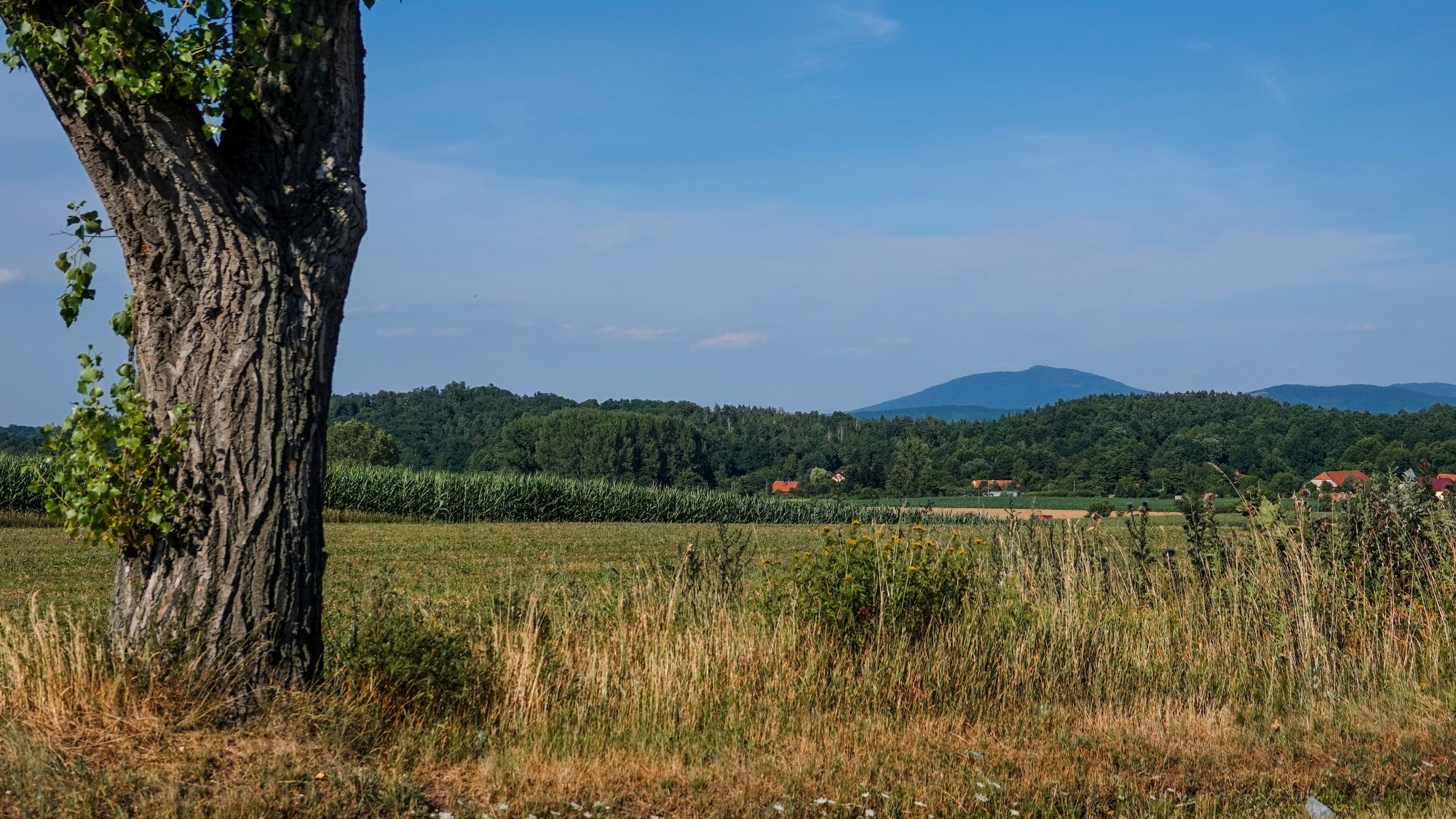 100 najpiękniejszych zdjęć 2021 roku - zdjęcie 90