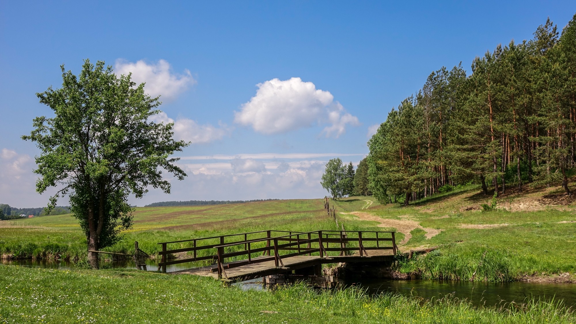 Mazury wiosną - zdjęcie 47