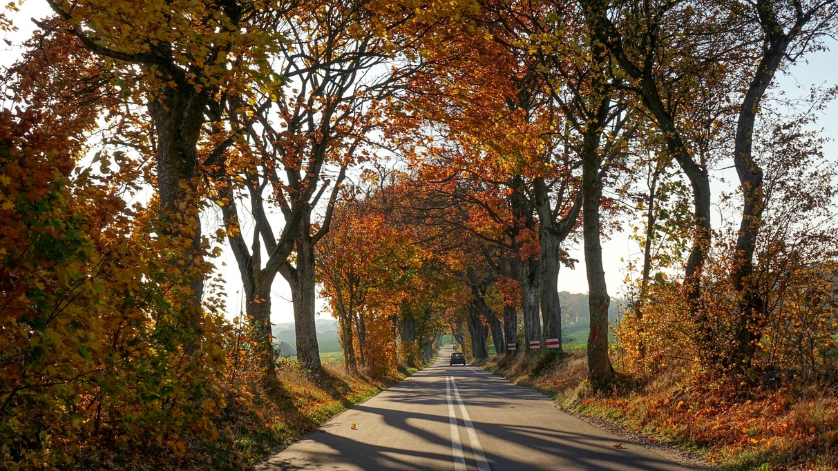 Jesienne krajobrazy za miastem - zdjęcie 57