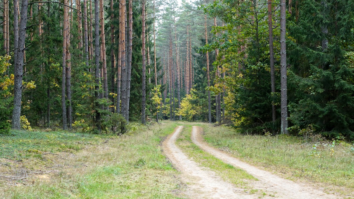 Jesienne krajobrazy za miastem - zdjęcie 49