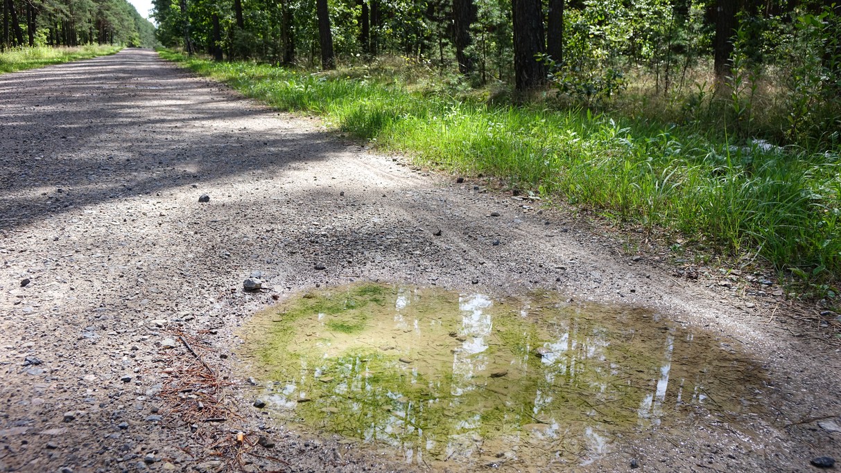 Sierpień w obiektywie - zdjęcie 31