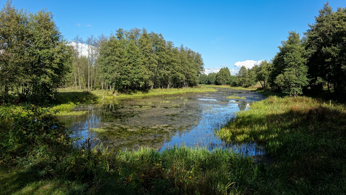 Uroki końca lata - zdjęcie 5