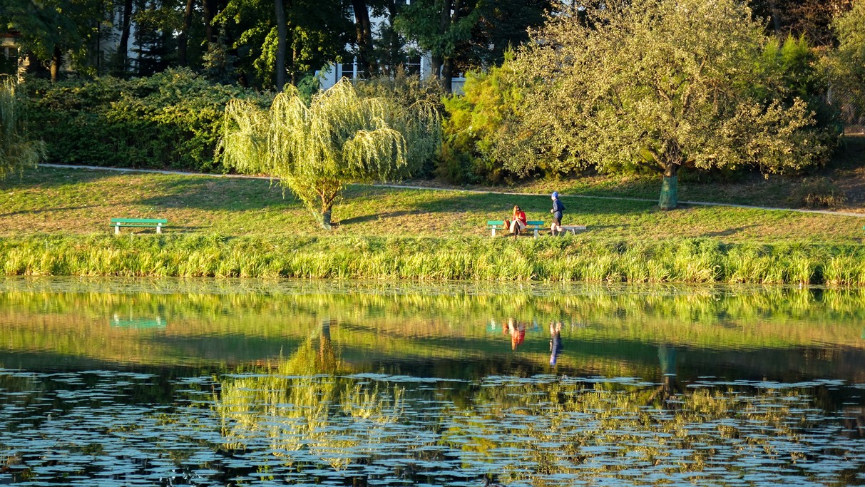 Jesienne krajobrazy za miastem - zdjęcie 76