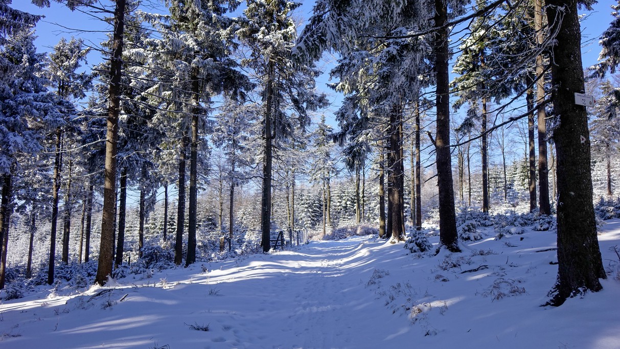 Zima w górach - zdjęcie 32